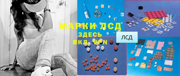 спайс Алзамай
